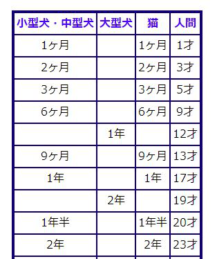 子犬が暴れるのはいつまで やんちゃな時期を短縮する５つのポイント 子犬が大変なのはいつまで