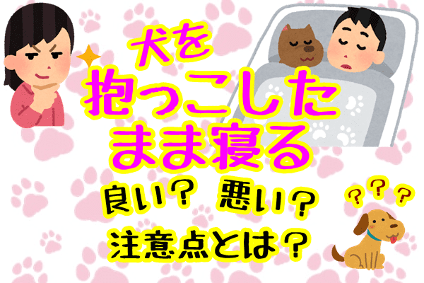 犬を抱っこしたまま寝るのは良い 悪い 注意点と犬の愛情表現 子犬が大変なのはいつまで