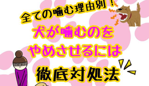 子犬 噛む 叱り方 の記事一覧 子犬が大変なのはいつまで