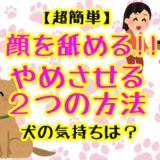 子犬を室内フリーで飼うのはいつから大丈夫 要注意 メリットとデメリット 子犬が大変なのはいつまで