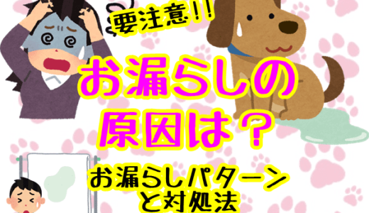 子犬 大変 いつまで の記事一覧 子犬が大変なのはいつまで