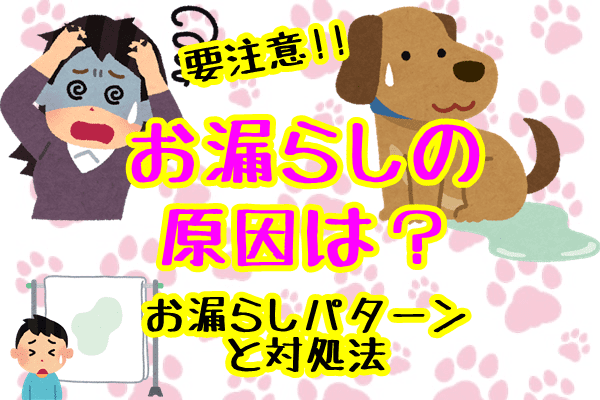 犬がお漏らしをする原因は 要注意なお漏らしパターンと対処法 子犬が大変なのはいつまで