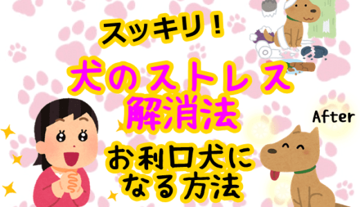 子犬 いつまで やんちゃ の記事一覧 子犬が大変なのはいつまで