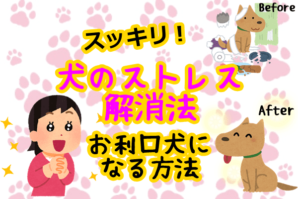 犬のストレス解消法ならこれ スッキリ お利口犬になる方法 子犬が大変なのはいつまで